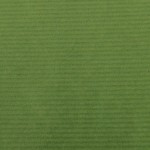 Canson - Kraft Paper Roll - Green