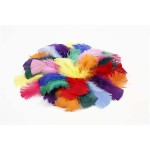 Create Craft - Feathers -7 to 8 cm - Assorted colors - 50g