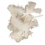 Create Craft - Feathers Turkey 50G White