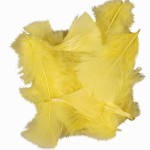 Create Craft - Feathers Turkey 50G Yellow