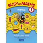 Busy AT Maths 1