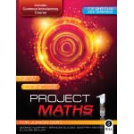 New Concise Project Maths 1 JC for 2015 exam onwards